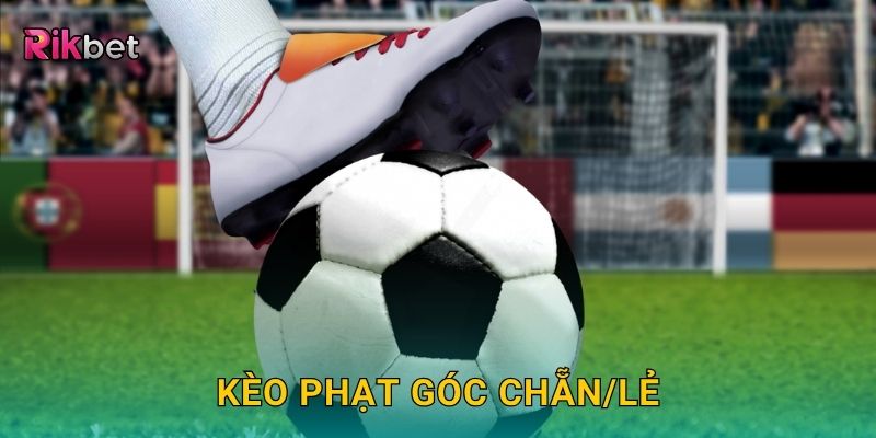 Tận Hưởng Trải Nghiệm Với Rikbet – Cá Cược Trực Tuyến Hàng Đầu